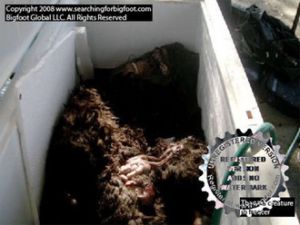 Снимок тела, обнаруженного на севере штата Джорджия. Фото с сайта searchforbigfoot.com