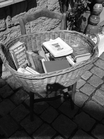 Как-то, после проливных дождей, этот врач поручил слуге вынести все книги во двор для просушки...Anna Zerйnyi/pixelio