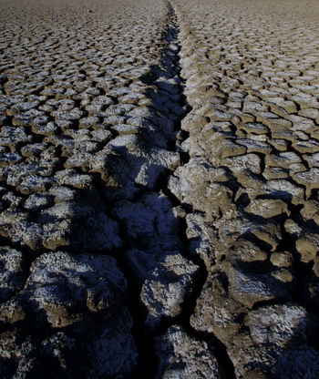 Фото: Getty Images
