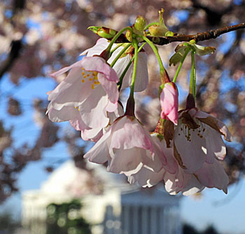 Фото: KAREN BLEIER/Getty Images