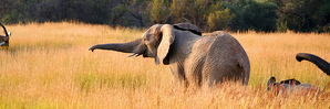 Фото: The Epoch Times