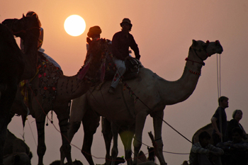 Фото: STR/AFP/Getty Images