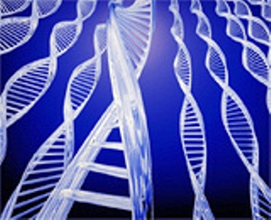 Фото: science.compulenta.ru