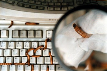 Хакеры могут заполучить технологию, способную выключить системы контроля электростанций, компаний по водообеспечению, воздушному сообщению, правительственных и финансовых систем. Фото:Ami Vitale/Getty Images 