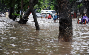 Фото: HOANG DINH NAM/AFP/Getty Images