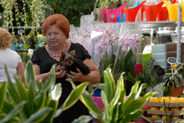 Выставка цветов открылась в Киеве. Фото: Владимир Бородин/Великая Эпоха (The Epoch Times)