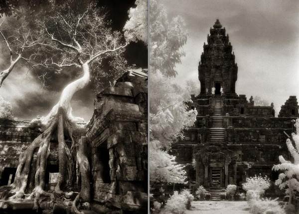 Древность: (L) фотограф МакДермотт «поймал» искривленное дерево рядом с храмом Ta Prohm, являющегося частью археологического ансамбля Анхор в Камбодже. (R) ХРАМОВАЯ ГОРА: Бэйкон - храмовая гора, построенная правителями Кхмерской империи в IX веке. Фотография выполнена в красном спектре для контраста с листвой деревьев на каменных руинах. Фото предоставлено галереей Sundaram Tagore