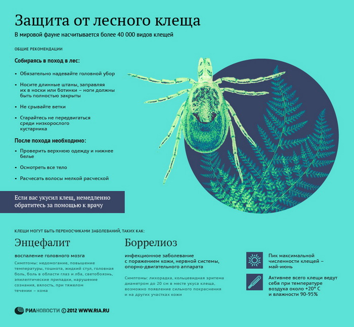 Защита от лесного клеща