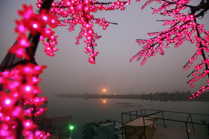 Фото: Mario Tama/Getty Images