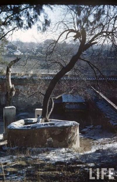 Старый Пекин. Фото: Dimitri Kessel