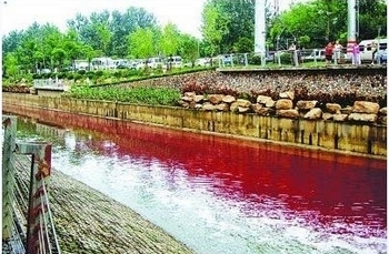 Красная вода в реке Цзиньчуань. Город Нанкин. Августа 2011 год. Фото: «Янцзы Ванбао»