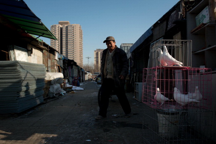 На полуразрушенном пекинском рынке по продаже живности. Фото:  Ed Jones/AFP/Getty Images