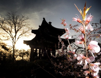 Китай. Фото: MARK RALSTON/AFP/Getty Images