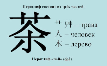 Дерево, которое через человека превращается в небесную траву или подымает его на небо. Или же это небесная трава, через восприятие человека становится волшебным деревом чая. Фото с сайта epochru.com