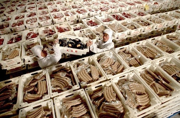 Экспорт токсичной пищи и поддельной и некачественной продукции Китаем, приведет к гибели международных отношений и международной напряженности. На рисунке показано как в США конфисковали в апреле импорт из Китая из 107 видов продукции. Фото: epochtimes.com
