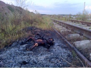Обгоревший труп годовалой девочки. Город Харбин провинции Хэйлунцзян. Сентябрь 2011 год. Фото с epochtimes.com