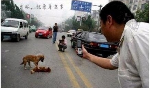 Фото с epochtimes.com