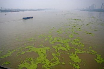 Вода в реке Янцзы загрязнена промышленными отходами. Фото с epochtimes.com