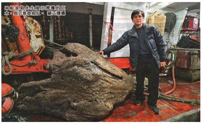 Гигантский кусок орлиного дерева, выловленный гонконгским рыбаком. Фото: Screenshot/ifeng.com