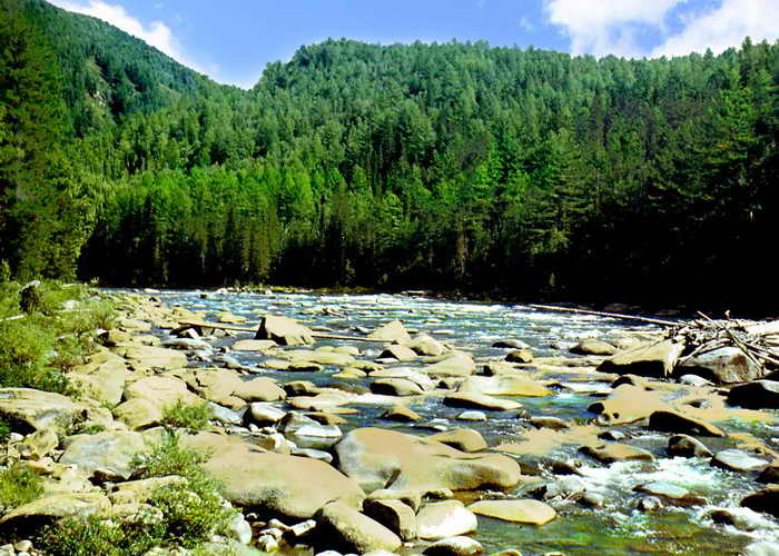  Спокойствие и тишина, только вода журчит. Фото: Леонид Красов