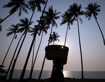 Фото: INDRANIL MUKHERJEE/AFP/Getty Images