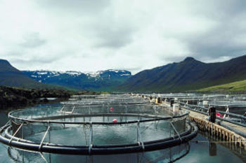 Фото: Getty Images