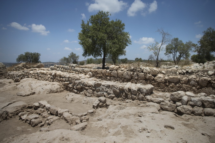 Фото:  Uriel Sinai/Getty Images