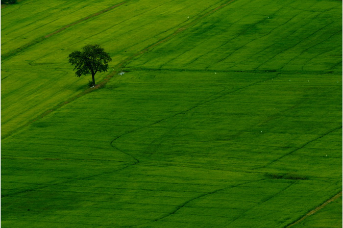 Фото: flickr.com