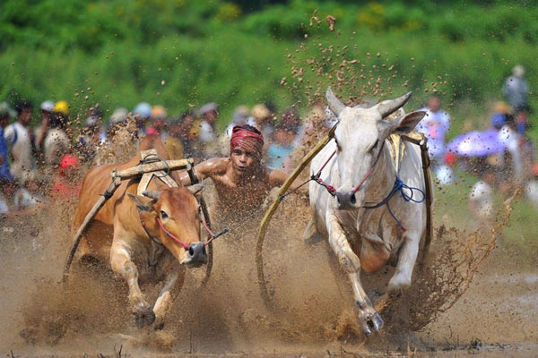 Фото: epochtimes.com