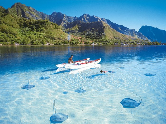 Доминиканские острова. Фото: sterling-yachts.com