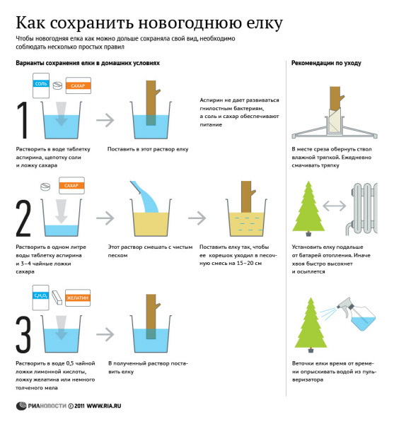 Как сохранить новогоднюю елку