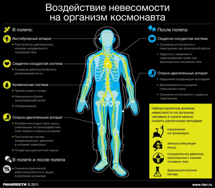 Воздействие невесомости на организм космонавта