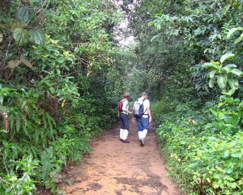 Что взять с собой в Шри-Ланку. Фото: elephantours.com  Какие места посетить