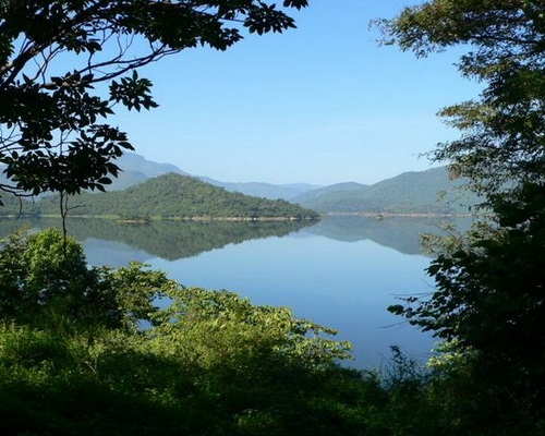 Отдых в Шри-Ланка. Фото: elephantours.com