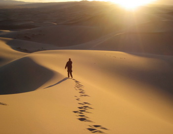 Фото: Getty Images