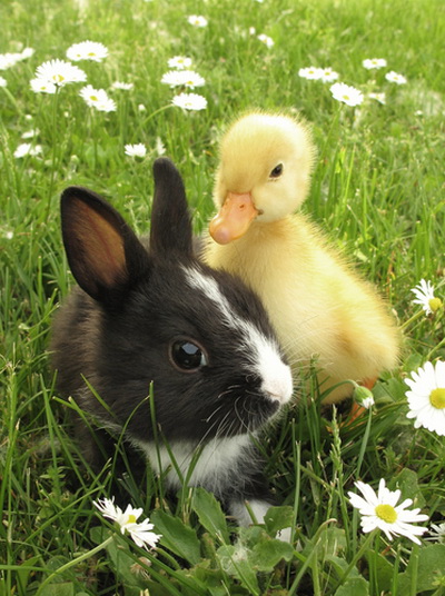 Фото: Shutterstock*