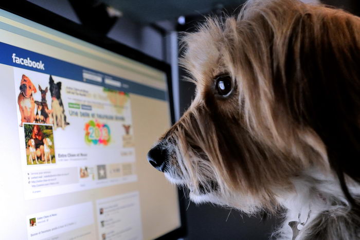 Facebook, как пример удачного стартапа. Фото: DENIS CHARLET/AFP/Getty Images