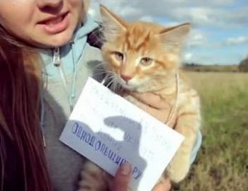 Парламентёр Лапка. Фото с сайта mail.ru