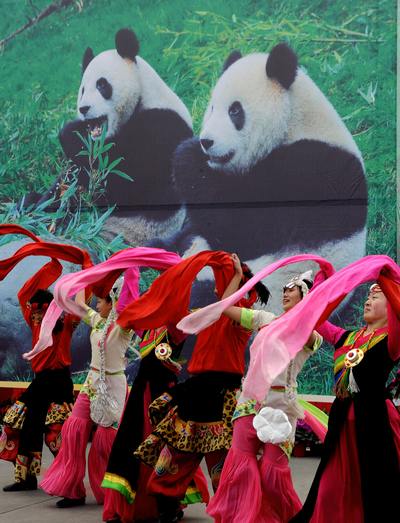 Гигантские панды (Tuan Tuan) и (Yuan Yuan). Фото: SAM YEH/AFP/Getty Images