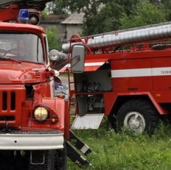 Пожарные лицензии МЧС Росси. Фото: иmnenieru.ru