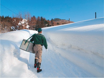 Говори, что думаешь, и думай, что говоришь! Фото: web-japan.org