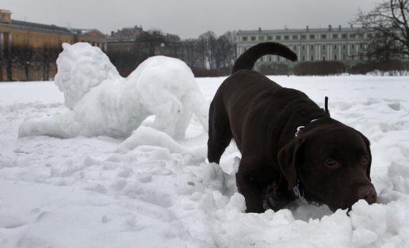 Галерея российской ледовой скульптуры в Москве. Фото: ALEXANDER NEMENOV/AFP/Getty Images