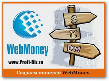Ввод и вывод Webmoney в Воронеже - теперь это просто. Фото с gora-softa.ru