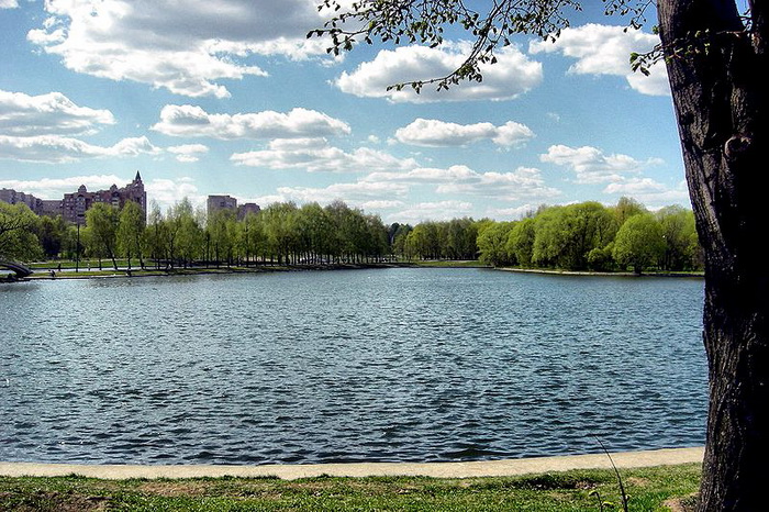 Парк Дружбы в Москве. Фото: Ryndman/commons.wikimedia.org