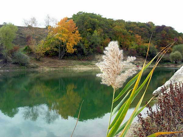 Золотая осень на берегах озера Крепкое близ Холмовки в Крыму. Фото: Алла Лавриненко/Великая Эпоха