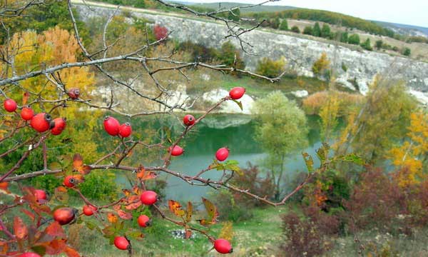 Золотая осень на берегах озера Крепкое близ Холмовки в Крыму. Фото: Алла Лавриненко/Великая Эпоха