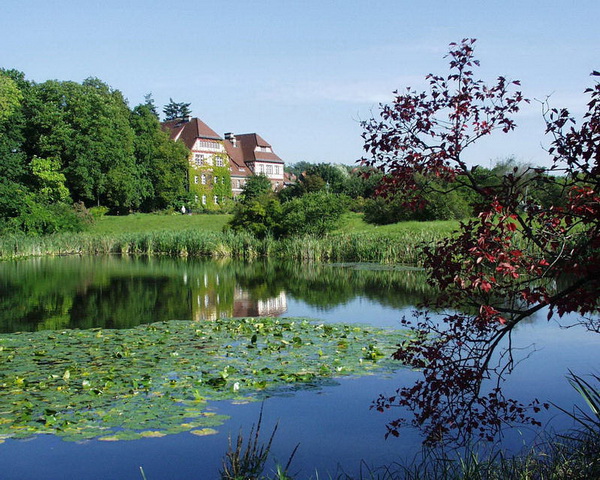 Американское озеро. Фото: © I. Haas, Botanischer Garten und Botanisches Museum Berlin-Dahlem