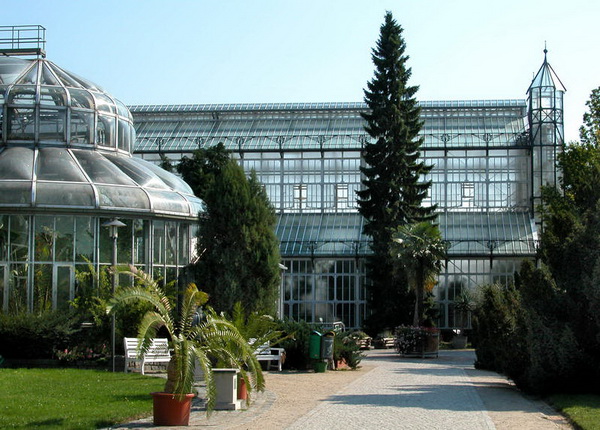 Оранжереи в стиле модерн приглашают посмотреть и удивиться. Фото: © I. Haas, Botanischer Garten und Botanisches Museum Berlin-Dahlem