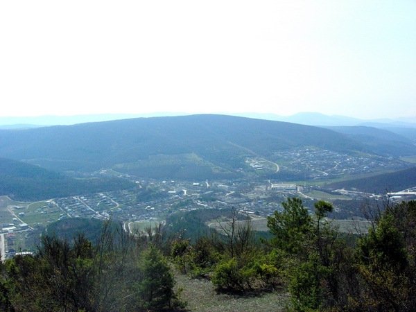 Крым. Пятая балка. Весенние цветы в горном Крыму. Фото: Алла Лавриненко