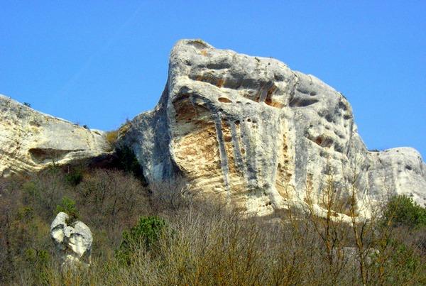 Крым. Пятая балка. Весенние цветы в горном Крыму. Фото: Алла Лавриненко